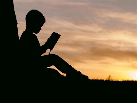 Boy standing under tree sunset hd : silhouette of child sitting behind tree during sunset ...