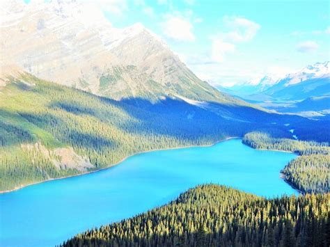 Bow Lake Parco Nazionale Di Banff Aggiornato 2020 Tutto Quello Che