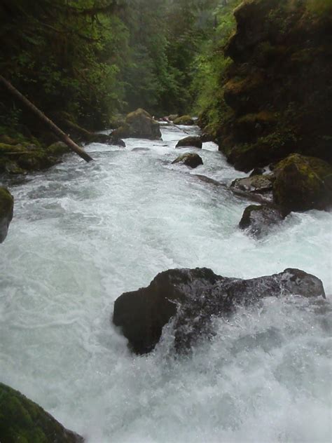 Fluid As A Lifestyle The Big Quilcene Olympic Peninsula