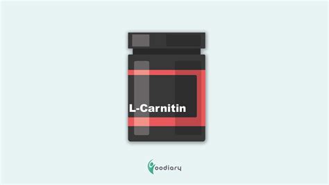 Wenn du also eine klausur schreibst, solltest du es vorher einnehmen. L-Carnitin: Wie wirkt L-Carnitin und wann ist es Sinnvoll?