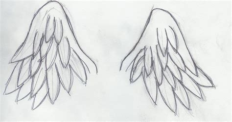 Angel Wings By Pikoto On Deviantart Wings Drawing Angel Wings