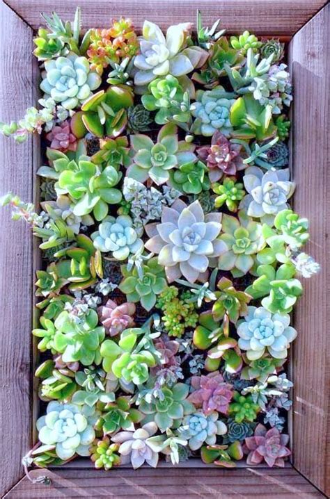 For an indoor succulent garden, purchase miniature plants that are scaled for a smaller container. These Vertical Garden Ideas Are Perfect for Small Spaces ...