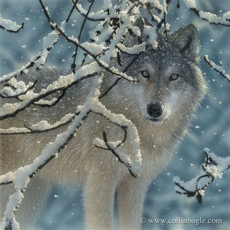 Winter Wolf Painting Wolf In Snow Wolf Wall Art Grey Wolf Etsy
