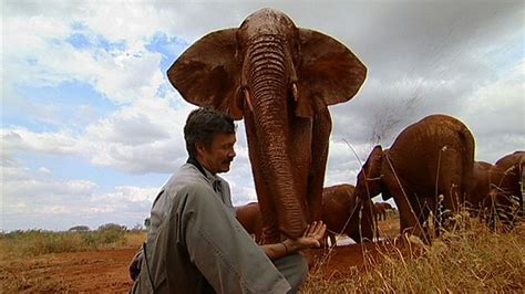 Bbc Two Elephant Diaries