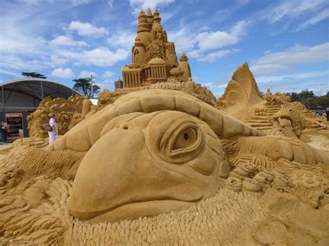 Berwick Bushwalking Club Ilonas Pic Of Turtle Sand Sculpture