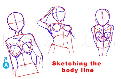 How To Draw Breasts Step By Step Drawing Guide By Estheryu1981 In 2021