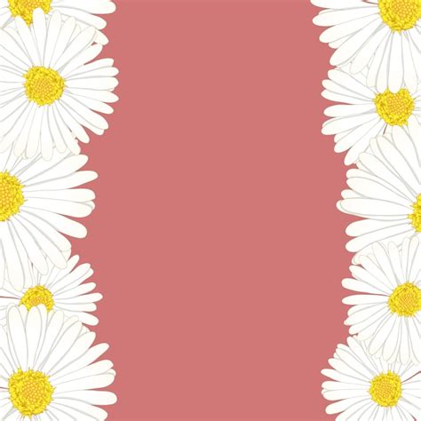 Daisy Border Free Ppt Backgrounds For Your Powerpoint Templates Images