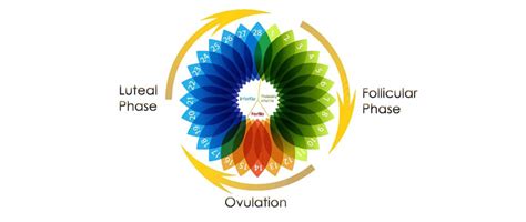 A Guide To Understand Vaginal And Menstrual Discharge Simply Periods