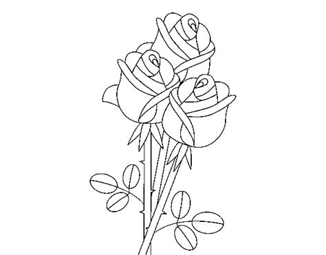 Ramo de corazon y rosas. Dibujo de Un ramo de rosas para Colorear - Dibujos.net