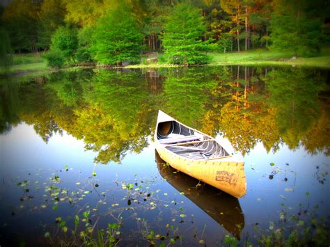 Free Images Tree Water Nature Wilderness Boat Sunlight Morning