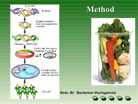 genetic modified crops