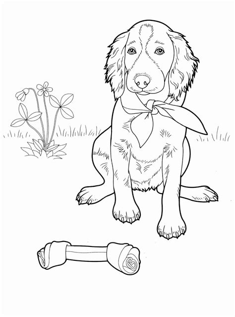 Cool Coloring Pages For Tweens Elegant Coloring Pages Dog