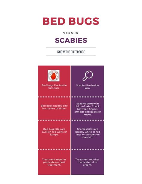 Bed Bugs Vs Scabies