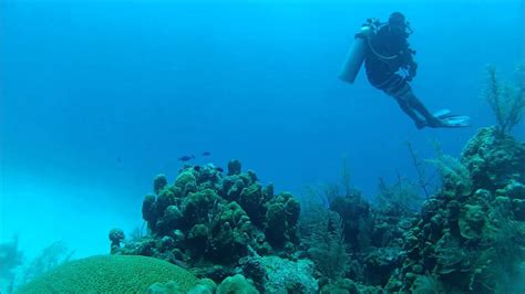 Diving Half Moon Wall Lighthouse Reef Atoll Belize Youtube