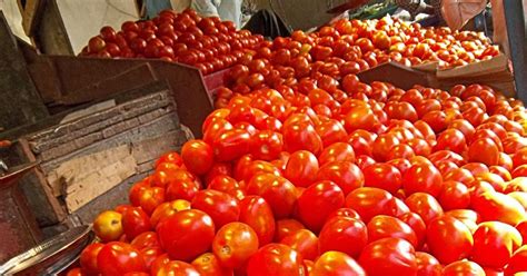 Stock Pictures Tomatoes In The Market Closeups