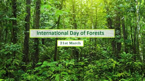 International Day Of Forests 21st March Ministry Of Wildlife And