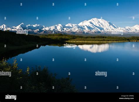 Denali Mt Mckinley The Tallest Mountain In North America Is