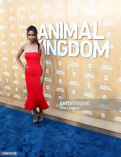 Daniella Alonso Photos And Premium High Res Pictures Getty Images