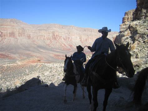 Havasupai Falls A Grand Canyon Travel Dream 8womendream