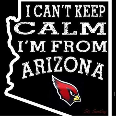Arizona Cardinals Super Fans Arizonaladybirds Birdgang Redsea