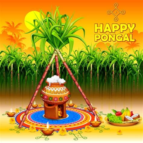 Happy Pongal 2021 Wishes Quotes In Tamil Images Greetings And
