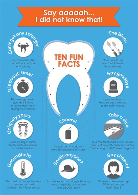 10 Facts About Your Teeth Infographic Best Infographics