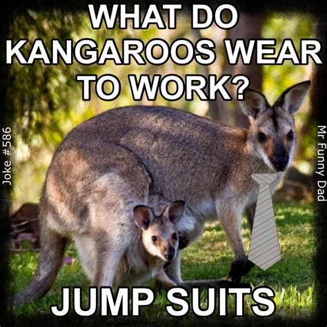 Kangaroo Joke In 2021 Dad Humor Quick Jokes Mr Funny
