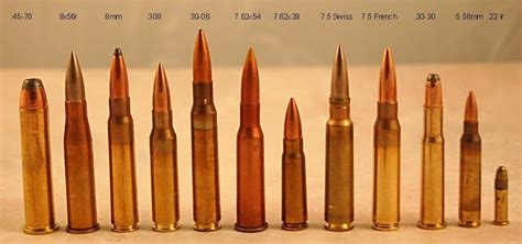 Rifle Caliber Size Comparison Hunting Reloading Ammo Guns Ammo