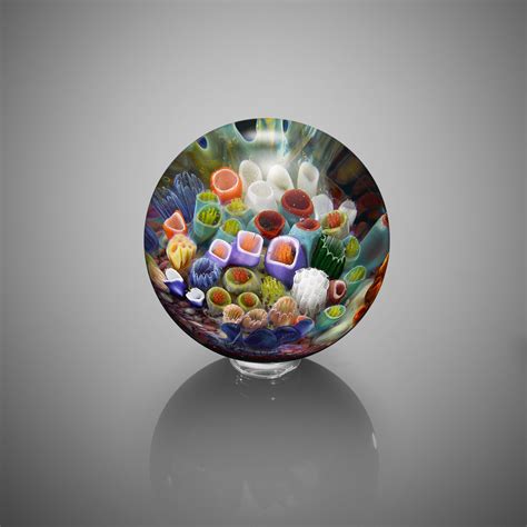 Coral Reef Sphere By Jeremy Sinkus The Colorful Bottom Of The Sea Is Captured With Tiny