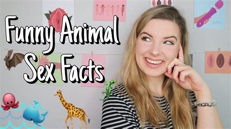 Funny Animal Sex Facts Youtube