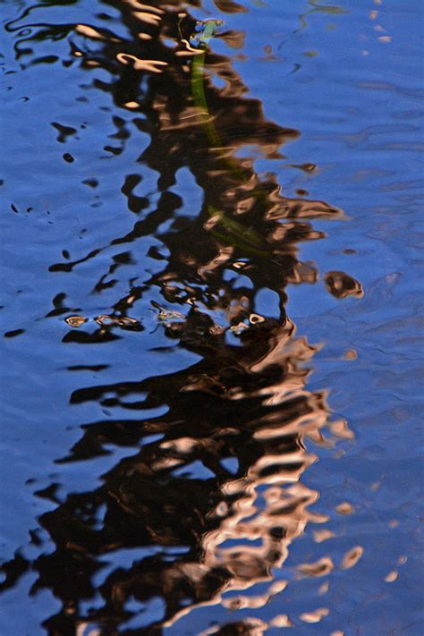 Natures Reflections Photograph By Christine Walter Fine Art America