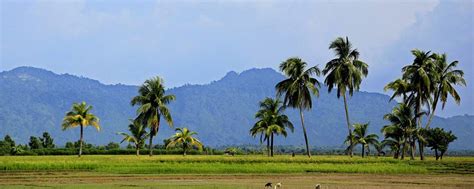 Nature Landscape Picture Free Bangladesh Photos