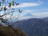 Mt. Oyama: Hike on the Sacred Mountain in Kanagawa! - Japan Web Magazine