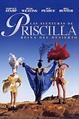 Ver Las aventuras de Priscilla, reina del desierto Online y descargar ...