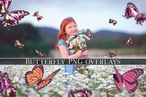 Butterfly Overlays Png Butterfly Flying Butterfly Photoshop