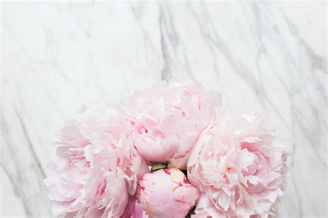Flowers Bouquet Marble Wallpaper Pink Peonies Tender Wallpaper For