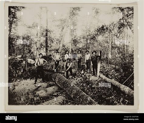 H J Hansen American Lumbering Days In Ludington Michigan 1890
