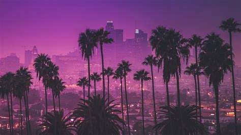 Palm Trees Against Purple Nightlights Los Angeles California 4k