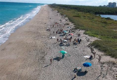 Aerial View Of Blind Creek Beach Clothing Optional Section Picture
