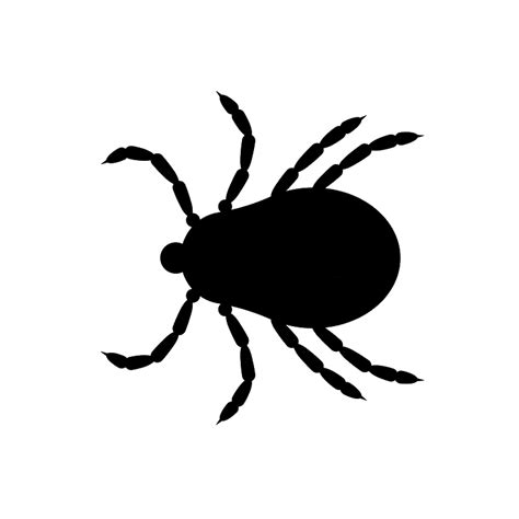 Tick Insect Png Transparent Image Download Size 768x768px