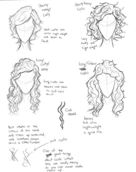 Short Curly Hair Reference Drawing Download Free Mock Up