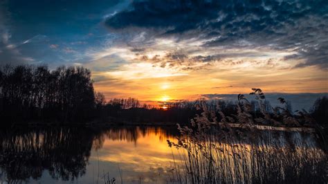Wallpaper Forest Lake Reeds Sunset 1920x1200 Hd Picture Image