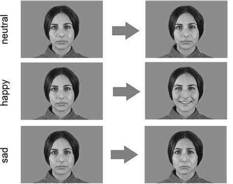 Frontiers Sex Differences In Affective Facial Reactions Are Present