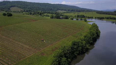 Trump Winery Fires 7 Undocumented Workers A Year After Washington Post