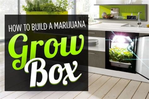 We did not find results for: How to Build a Marijuana Grow Box | Leafbuyer