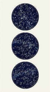 Triple Cosmos Constellation Chart Capricorn Press