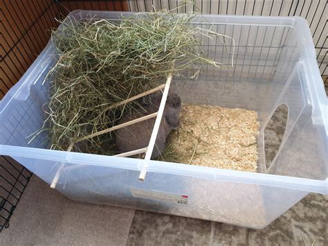 Diy Made A Litter Box With Integrated Hay Feeder Rabbits