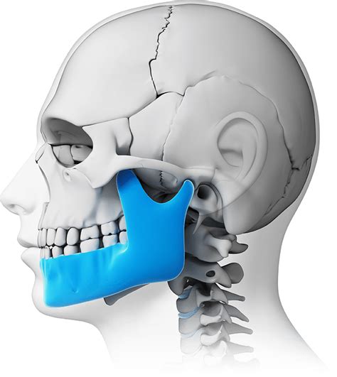 How Tmj Therapy Works With An Occlusal Guard Or Mouth Guard For Tmj 2022