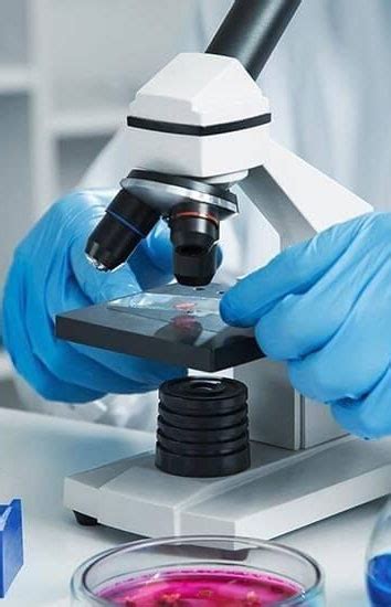 Parn Quality Control Of Culture Media In A Microbiology Laboratory