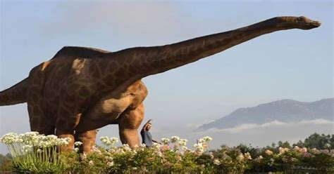 Largest Dinosaur In Brazil Discovered